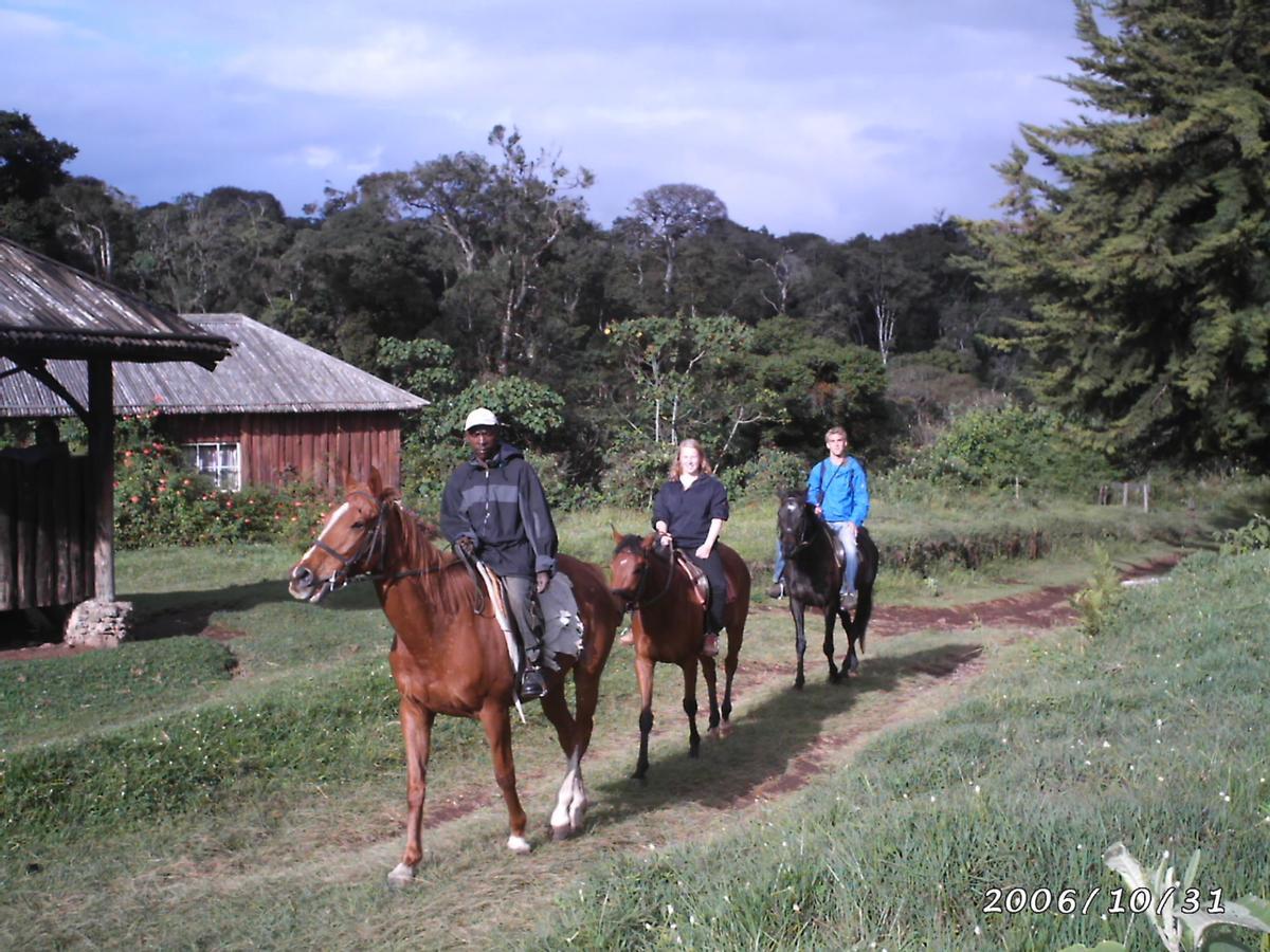 Castle Forest Lodge Mount Kenya National Park Eksteriør bilde