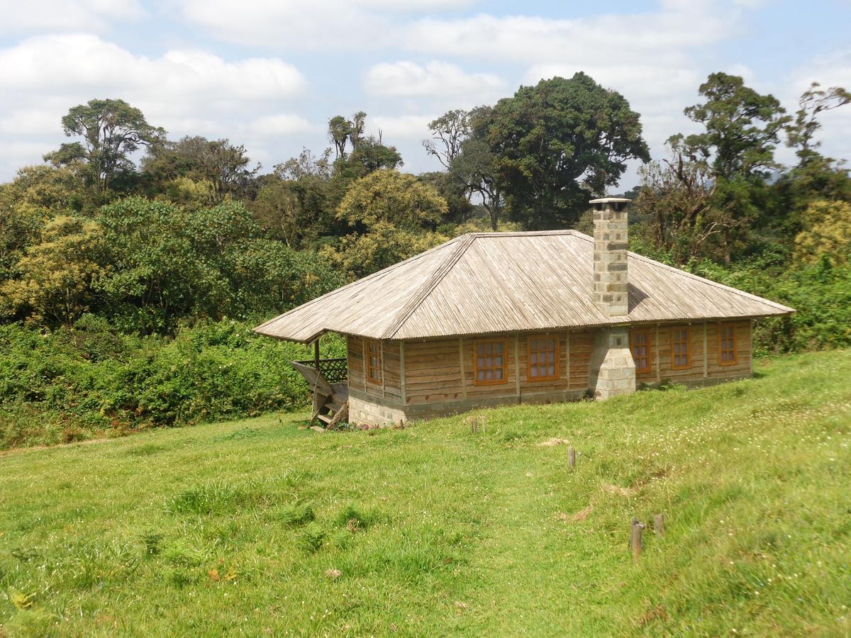Castle Forest Lodge Mount Kenya National Park Eksteriør bilde